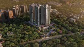 FOREST RIDGE project